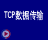 TCP数据传输[网络工程师培训视频教程]